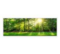 Panorama di una foresta d'estate con raggi di sole Poster di Jan Christopher Becke 60 x 20 cm Verde Quadri Decorazione per pareti