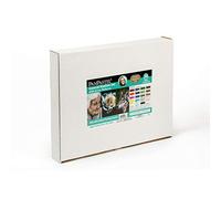 PanPastel Colorfin, pastelli artistici, kit Kirsty Rebecca Rebecca (30254)