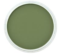 PanPastel Ultra Soft Artist Pastel, Ossido di Cromo Verde Tonalità