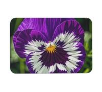 Pansy Perfection Diatome, tappetini da bagno assorbono umidità e sporco, zerbino con retro in gomma antiscivolo, adatto sotto la porta, per pavimento del bagno, vasca, doccia, lavandino