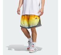 adidas performance - Crazy Lite - Pantaloncini giallo crew / cielo limpido con stampa XL 5in