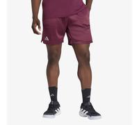 Pantaloncini adidas Tennis CLIACOOL Ergo Shorts PRO aroon M