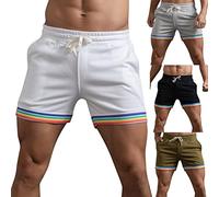 Pantaloncini da bagno da uomo LGBT Arcobaleno a righe Patchwork Pantaloncini e Bermuda Uomo Gay Pride Month Beach Bermuda Long LGBTQ Pantaloni Corti Colorati Colore Neon Boardshort Pantaloncini