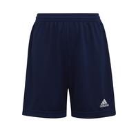 Short Entrada 22 Adidas pour Enfant Couleur : Tenabl Taille : L (164) - Taille L (164)