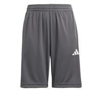 Pantaloncini Sportivi per Bambini Adidas Tr-Es 3Bandas Sh Grigio scuro