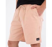 Pantaloncini Uomo - Icon Ewalkshort 19'