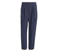 Adidas Terrex Xploric Clima365 Cargo Pants Blu L / Regular Uomo