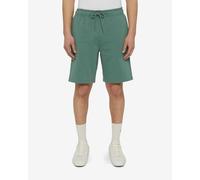 Pantaloni corti Dickies Mapleton verde maggio - XS