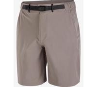Pantaloncini da uomo Salomon Wayfarer 2.0 short M Taglia: XXL / Colore: grigio