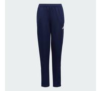 Adidas Pantaloni Entrada 22 Training