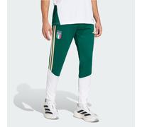 Pantaloni da allenamento Italia 26 Tiro Collegiate Green L