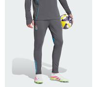 adidas Newcastle United FC Training Track Pants, Grey XL