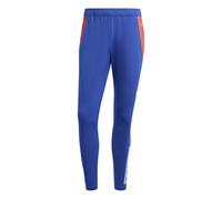 Pantaloni da allenamento Spagna Euro 2024 Bleu XL
