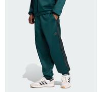 Pantaloni da allenamento Stadium Aurora Ivy / Black S