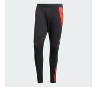 Pantaloni da allenamento Tiro 24 Competition Belgium Black / Better Scarlet M