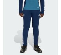 adidas Performance FC Arsenal London Pantaloni da allenamento per bambini, blu, 176 bambini