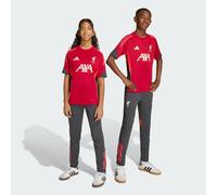 Pantaloni da allenamento Tiro25 Competition Liverpool FC Utility Black 13-14A