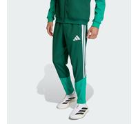 Adidas Algeria 26/27 Presentation Tracksuit Pants Verde S / Regular Uomo