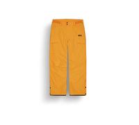 Pantaloni da sci da uomo Picture PLAN PANTS (Carota) XL