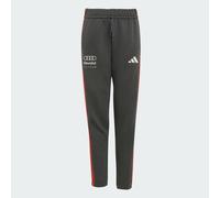 PANTALONI DNA TEAM AUDI REVOLUT F1 Utility Black 11-12A