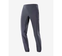 Pantaloni lunghi Salomon RS Warm Softshell grigio fumo - M