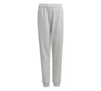 Pantaloni per ragazzi Adidas Kids Performance - gray/white - Grigio (152 cm)