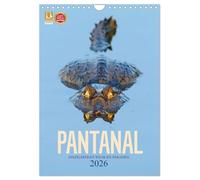 Pantanal - Einzigartiges Wildlife-Paradies (Wandkalender 2026 DIN A4 hoch), CALVENDO Monatskalender: Die Vielfalt und Schönheit von Brasiliens außergewöhnlicher Tierwelt