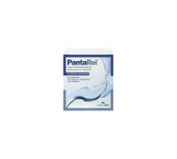 PANTAREI 16BUST