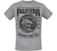 Pantera CFH Stencil Snake Uomo T-Shirt Grigio Sport 90% Cotone, 10% Poliestere Regular