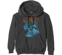 Pantera Far Beyond Driven World Tour Charcoal Grey XL Felpa con cappuccio