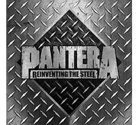 Pantera Reinventing The Steel (Deluxe Argento 2xLP)