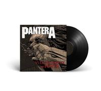 Pantera Vulgar Display of Power (Vinyl LP) 12" Album