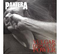 Pantera Vulgar Display of Power (Vinyl LP)