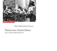 Pantere nere, America bianca. Storia e politica del Black Panther