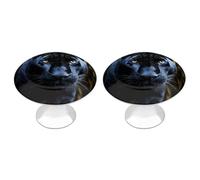 Panther With Blue Eyes - Confezione da 2 pomelli vintage per armadietti da cucina, in acciaio inox, decorativi, per cassettiere, cassetti, bagno, armadio, porta a due ante
