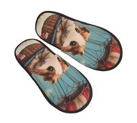 Pantofole da donna con mongolfiera e porcellino d'India, calde e pelose, pantofole da donna, pantofole da camera da letto, pantofole sfocate per l'inverno, scarpe da casa, pantofole estetiche per