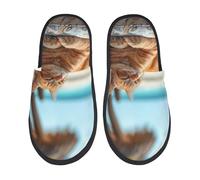 Pantofole Relaxing Cat With Orange Juice Feltro Pantofole Da Donna Soffici Scarpe Di Cotone Per Uomo Campeggio Bagno M
