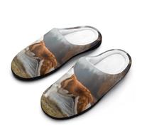Pantofole Saint Dog Slippers | Scarpe Da Casa Morbide Pantofole Da Casa Antiscivo Per Donne Uomo Viaggi Interno