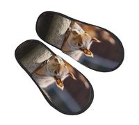 Pantofoles Casa Squirrel Just Laying Pantofole Scamosciate Antiscivo Ciabatte Pelose Soft Scarpe Da Casa Per Outdoor Home Inverno M