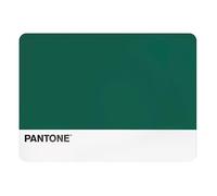 PANTONE - Tovaglietta Colazione Plastificata Rettangolare Impermeabile, Tovaglia Antimacchia Piccola 45x30 Antiscivolo, Tovagliette Colazione Americane Lavabili a Mano, Accessori Cucina Salvaspazio