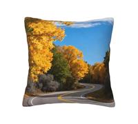 panverix Federa per cuscino autunnale con stampa su entrambi i lati, 40,6 x 40,6 cm, morbida, per soggiorno, camera da letto, seggiolino auto