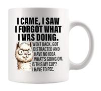 Panvola Tazza in ceramica bianca con scritta "I Came I Saw I Forgot What I Was Doing Old People Anziani Regali Donne Mamma Uomini Nonno Nonna 70°80° 90° Compleanno Anziano Regali Persone con Demenza