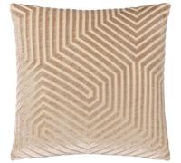 Paoletti Evoke Taglio Federa (RV2858)