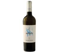 Paolo Leo Numen Salento IGT Chardonnay 2024 0,75 ℓ