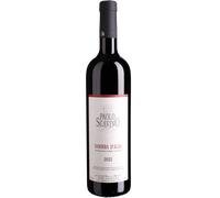 Paolo Scavino: Barbera d'Alba DOC - 2024