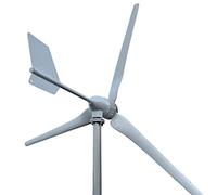 PAOSD 3000W 24V 48V 96V 3 Pale generatore Eolico Orizzontale Mulino a Vento con regolatore di Carica MPPT e Inverter off-Grid (Color : 1, Size : 48V)