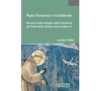 Papa Francesco e l'ambiente. Percorsi sulla teologia della Creazione dai Padri della Chiesa alla «Laudato si'»