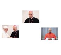 papa francesco I bergoglio 3 CALAMITE 5X7 CM ROBERT FRANCIS PREVOST PAPA LEONE