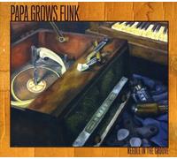 Papa Grows Funk - Needle In The Groove