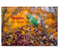 Papageien - Frech, schön und schlau (Tischkalender 2026 DIN A5 quer), CALVENDO Monatskalender: Wunderschöne Papageien in ihrem natürlichen Umfeld.